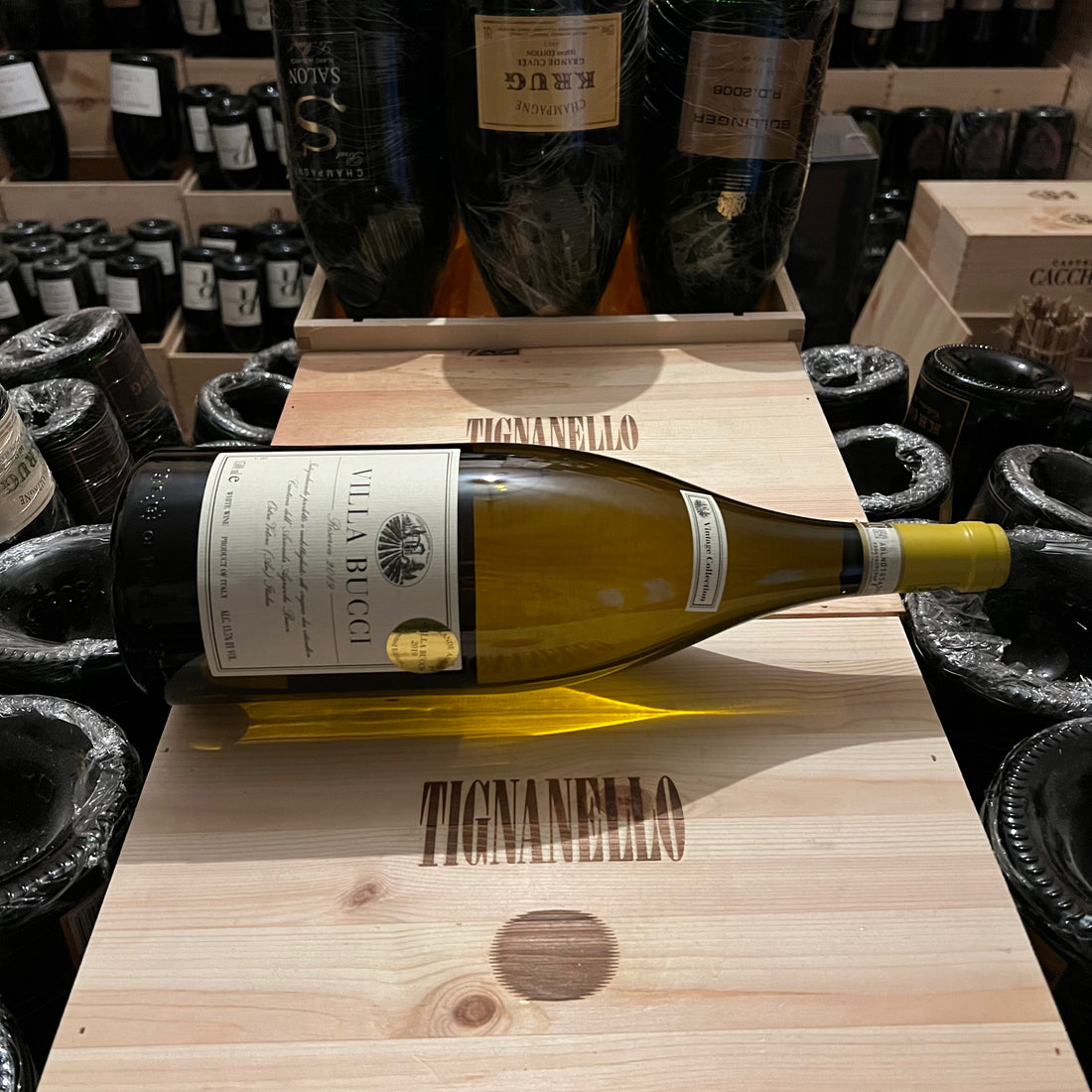 Villa Bucci Riserva 2019 Magnum